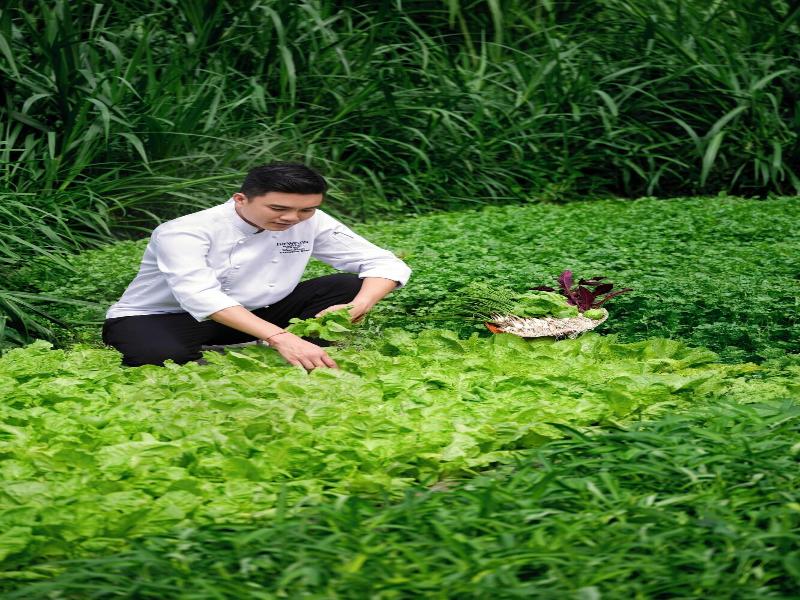 The Westin Resort Spa Cam Ranh image
