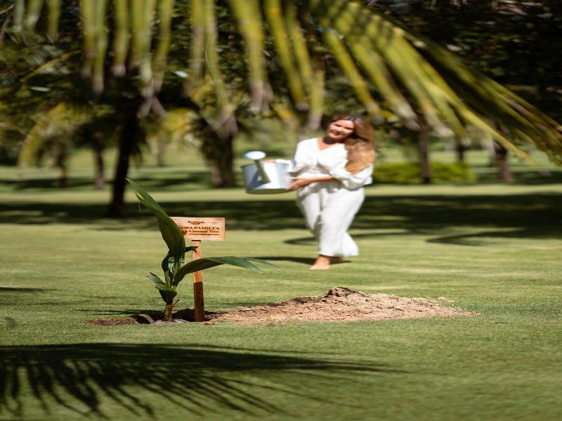 The Westin Resort Spa Cam Ranh image