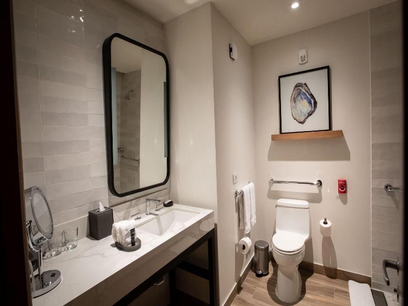 Courtyard By Marriott Santo Domingo Piantini image