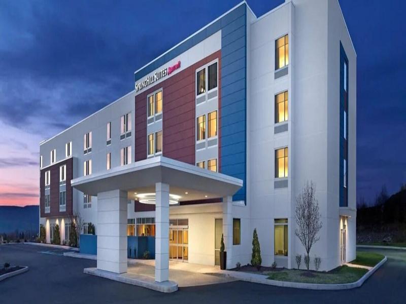 Springhill Suites By Marriott Raleigh Apex image