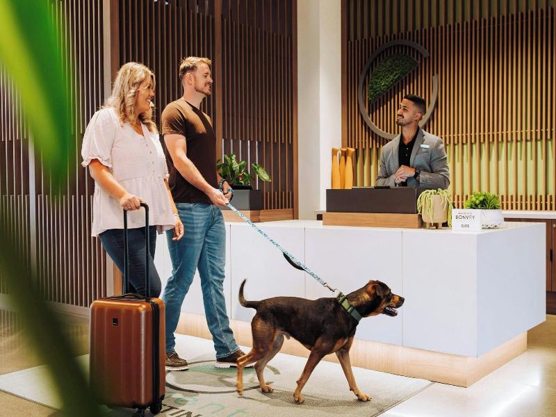 Element Reno Experience District image