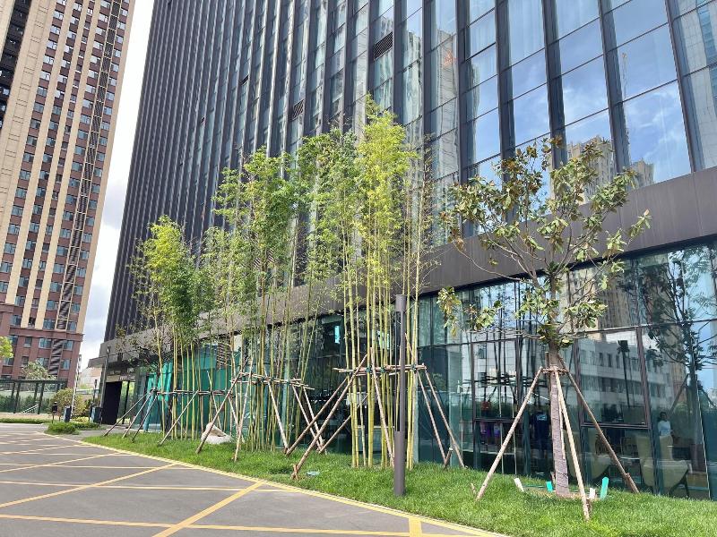 Fairfield By Marriott Zibo image