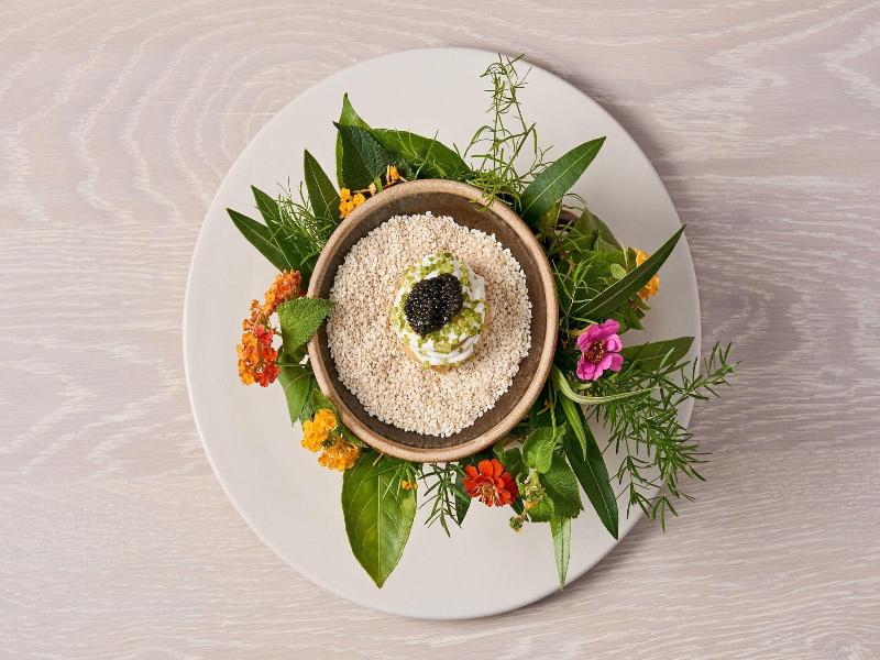 The Riviera Maya Edition At Kanai image