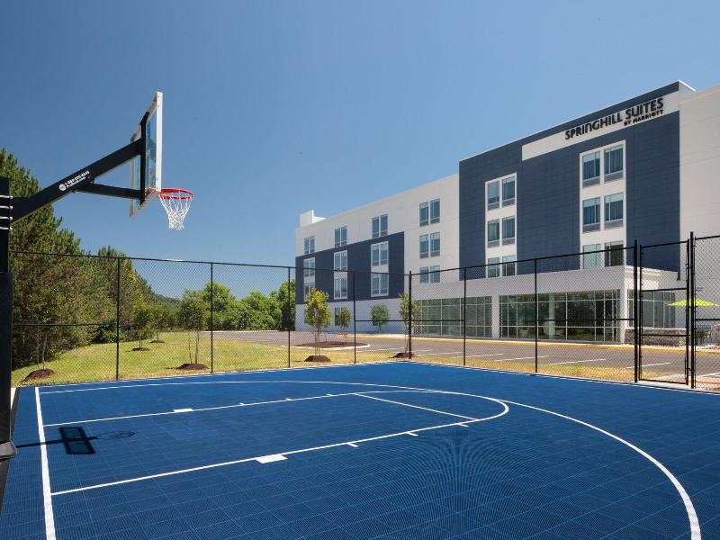 Springhill Suites By Marriott Roanoke North
