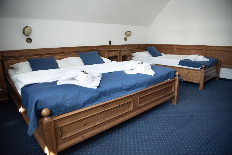 Hotel Jela Nek image