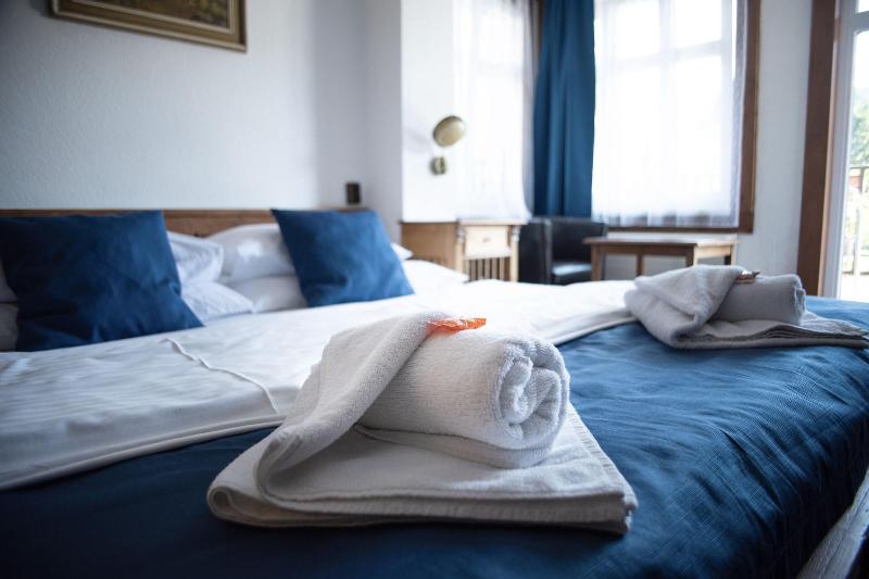 Hotel Jela Nek image