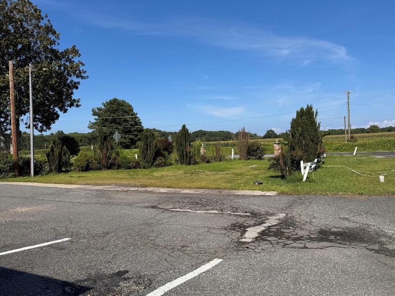 Whispering Pines by Hotel O Whitestone image