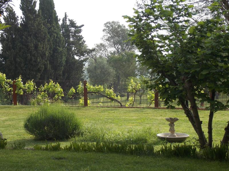 La Masia Costa Brava image