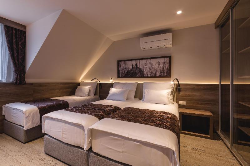 Hotel Grof image