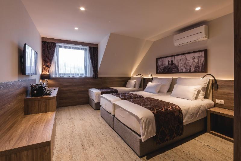 Hotel Grof image
