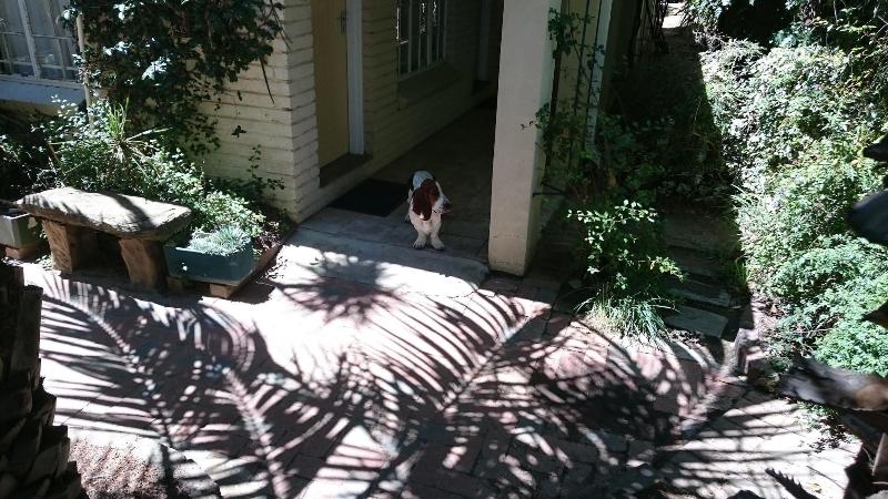 Ladybrand Guest House image