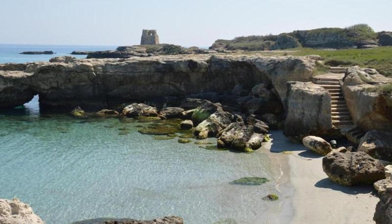 B B Il Geranio image