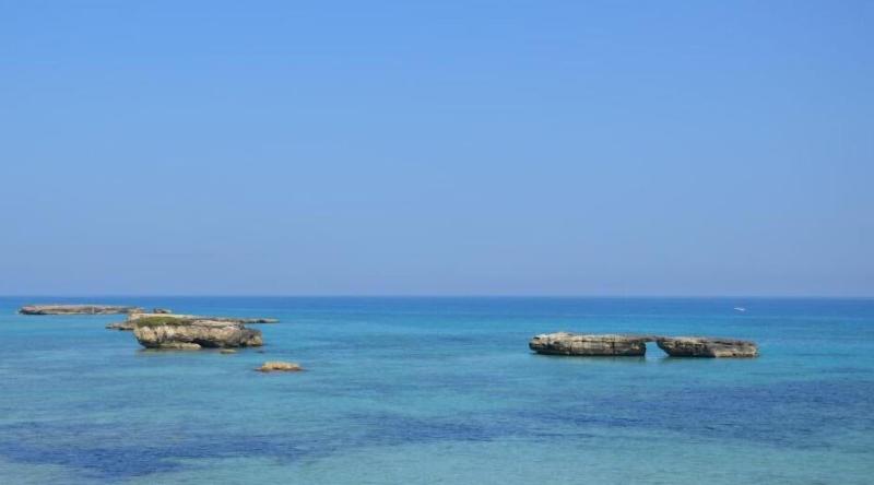 B B Il Geranio image