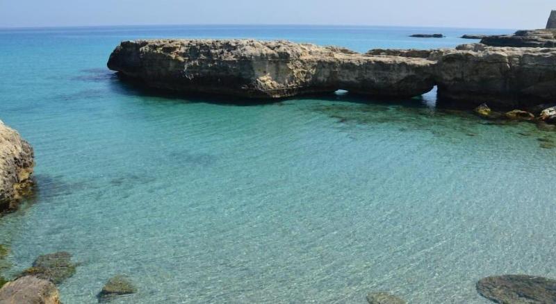B B Il Geranio image