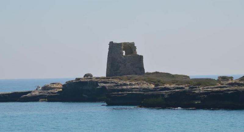 B B Il Geranio image
