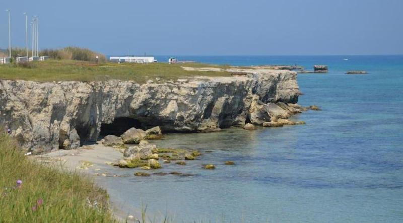 B B Il Geranio image