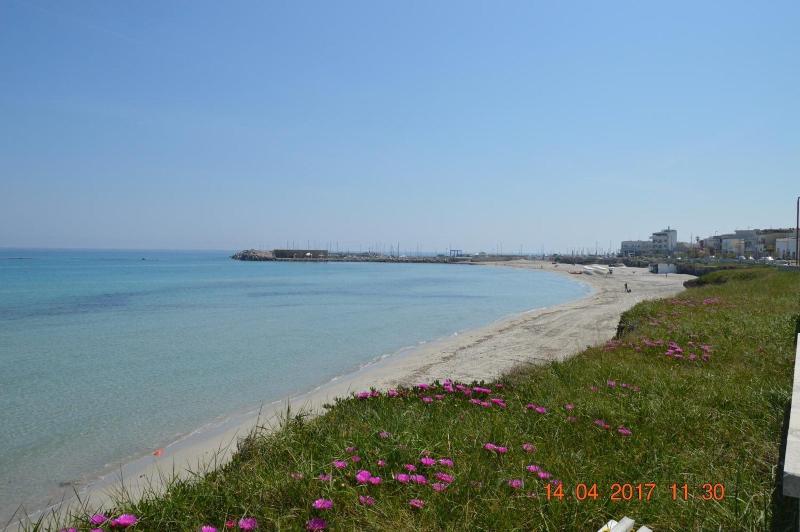 B B Il Geranio image