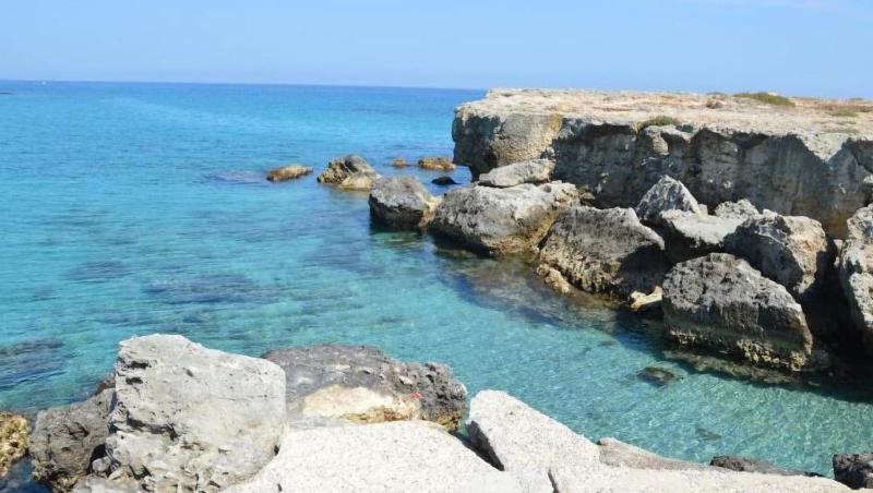 B B Il Geranio image
