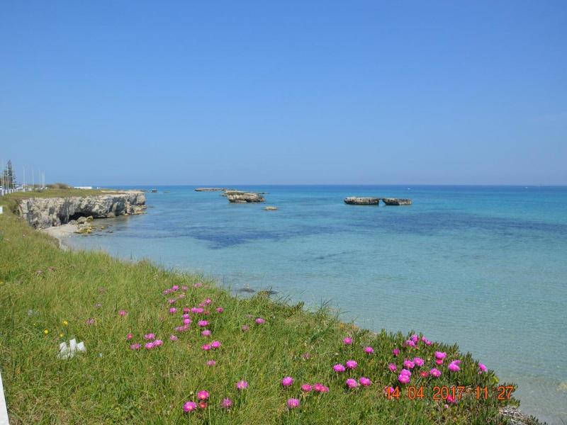B B Il Geranio image