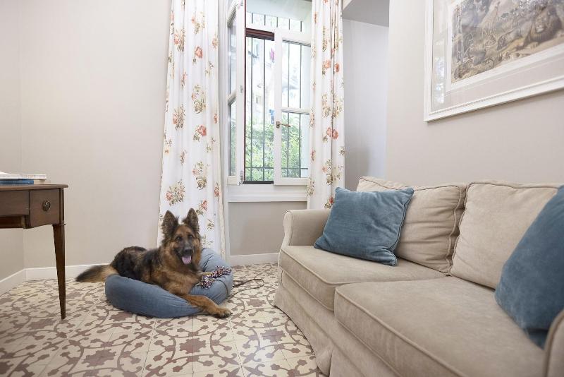 Gatto Perso Luxury Apartments image
