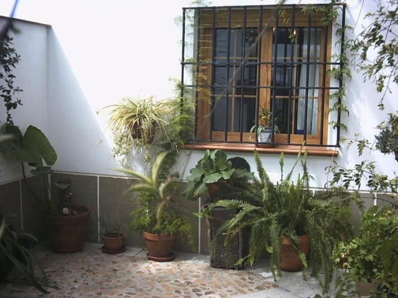 Casa Rural La Brea A image