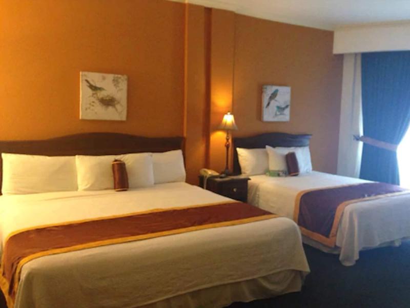 Aparthotel La Cordillera image
