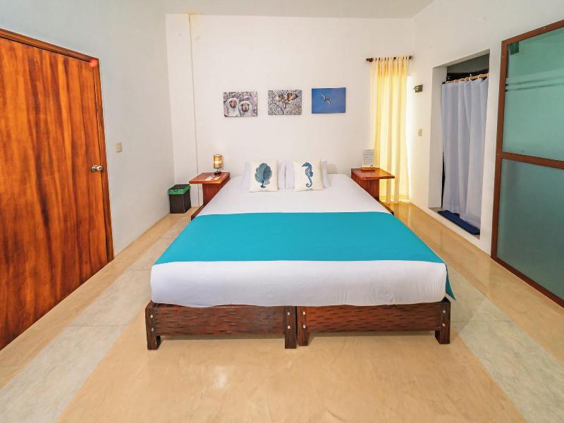 Cormorant Beach House image