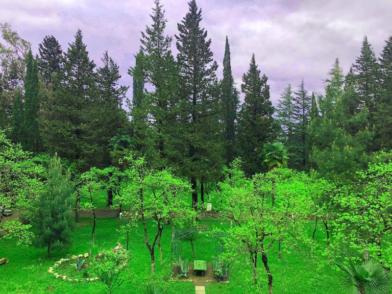 Park Hotel Imeri image