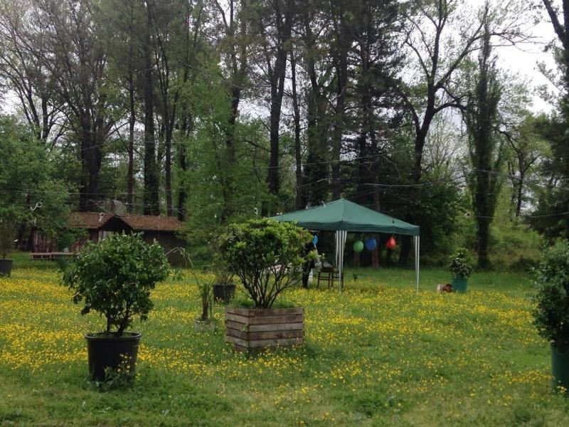 Park Hotel Imeri image