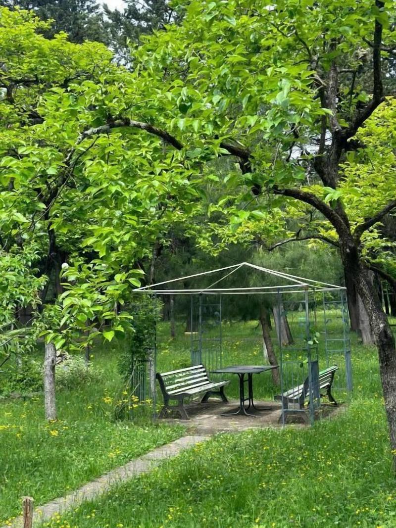 Park Hotel Imeri image