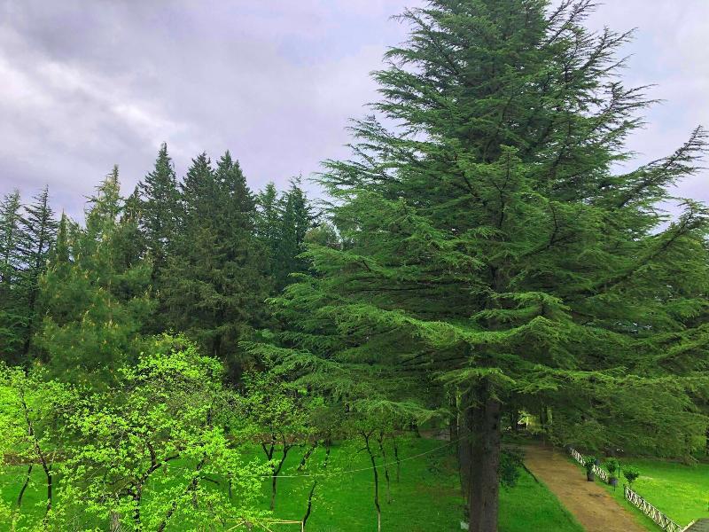 Park Hotel Imeri image