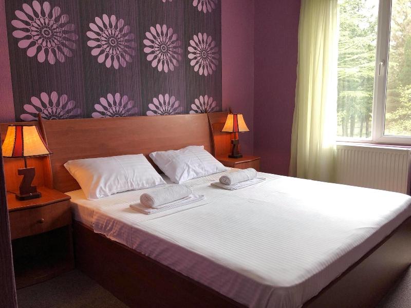 Park Hotel Imeri image