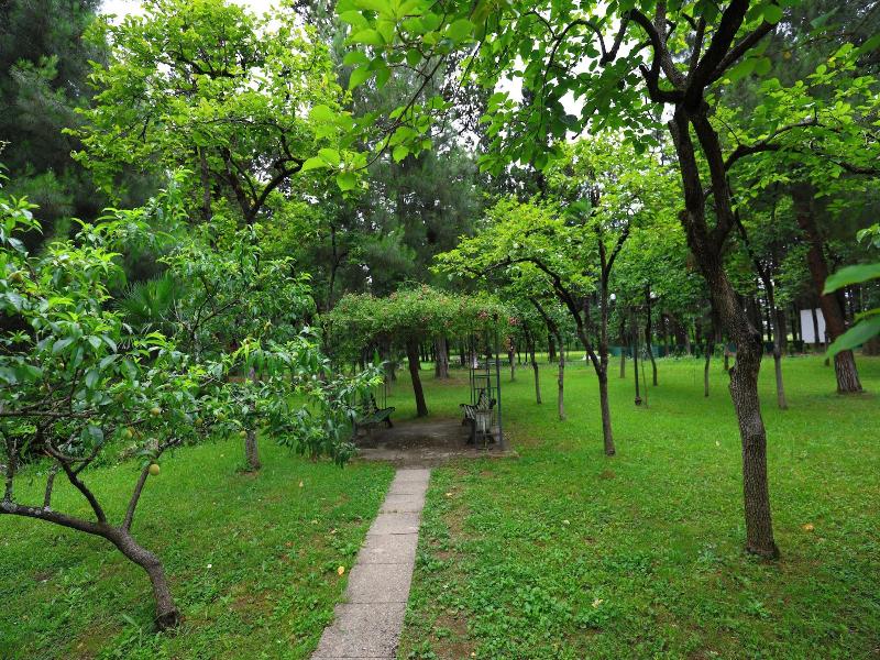 Park Hotel Imeri image