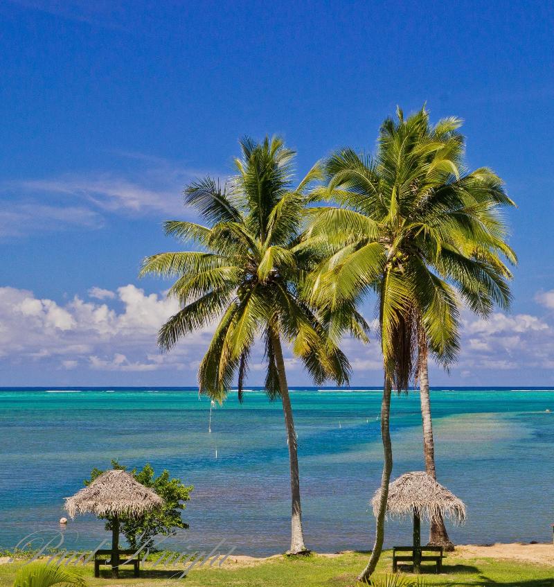 Waidroka Bay Resort image