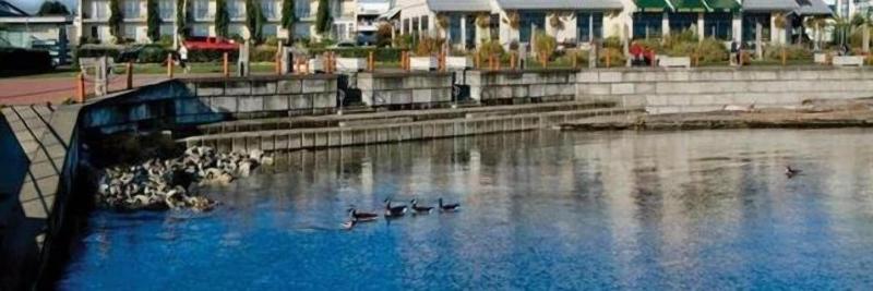 Sidney Waterfront Inn Suites