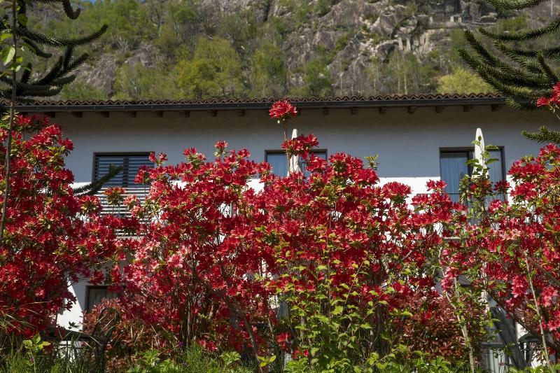 Hotel Al Fiume image