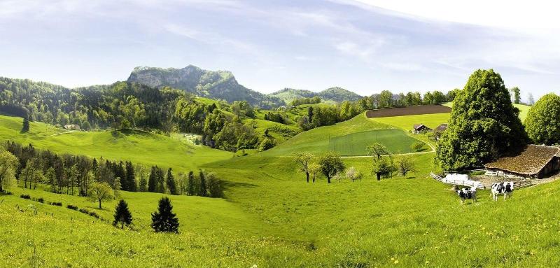 Gasthof National image