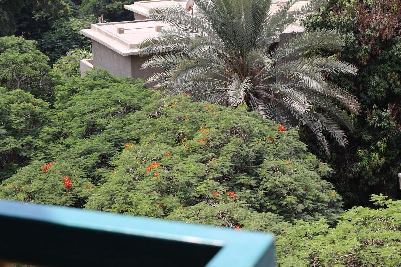 Santana Hotel image