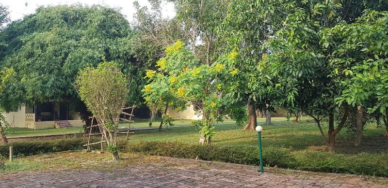 Lumbini Buddha Garden Resort — general view
