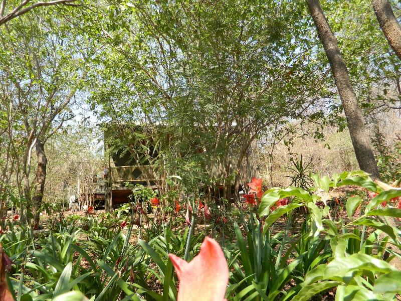 Kwalape Safari Lodge image