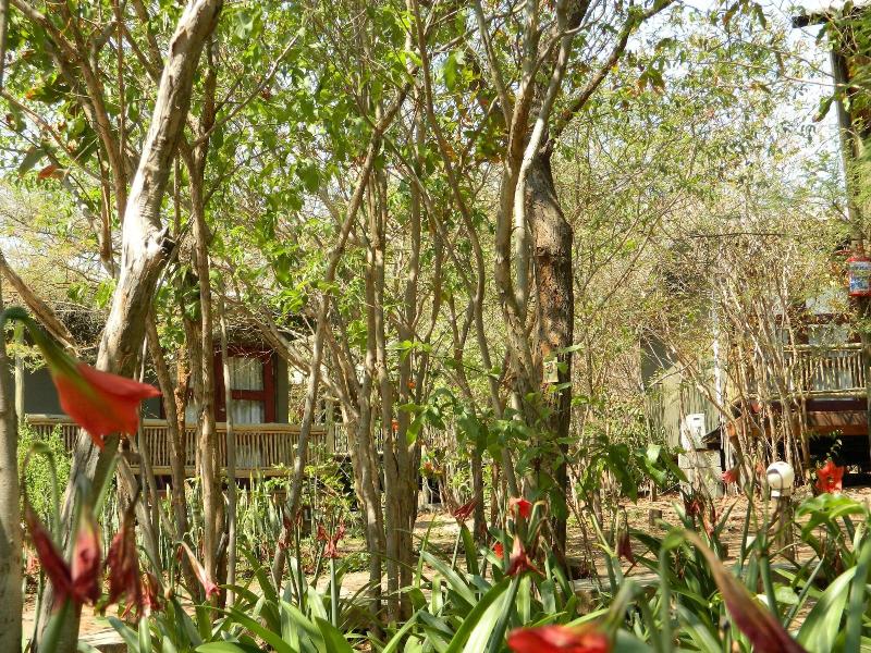 Kwalape Safari Lodge image