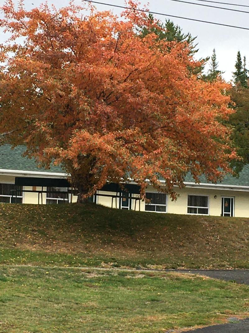 La Roma Motel image