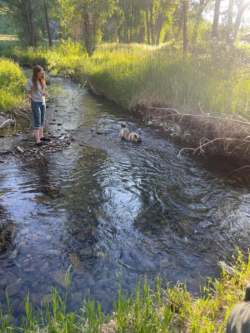 Antlers On The Creek Bed Breakfast