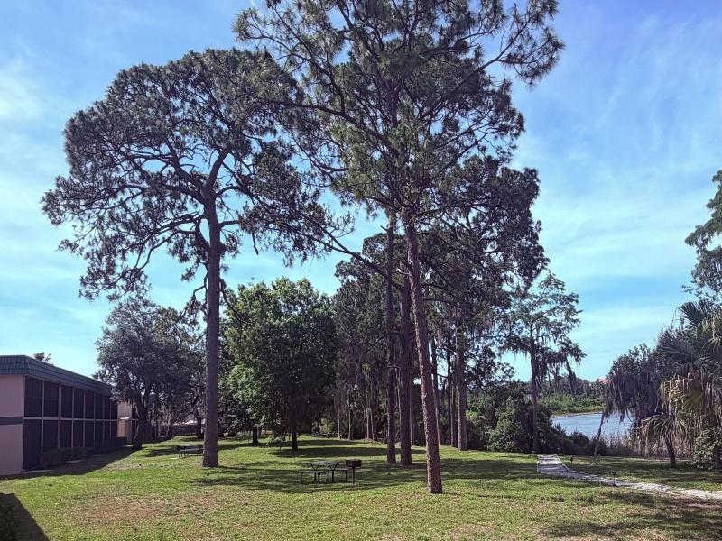 Grand Lake Resort image