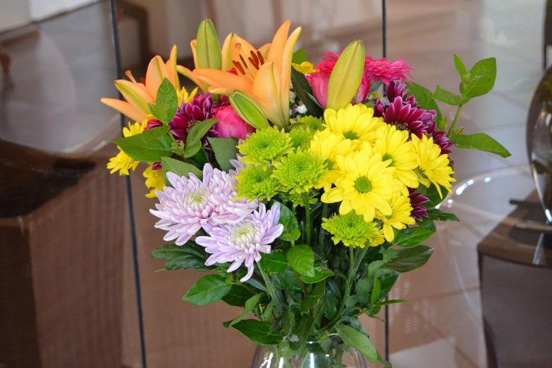 The Capital Guesthouse image