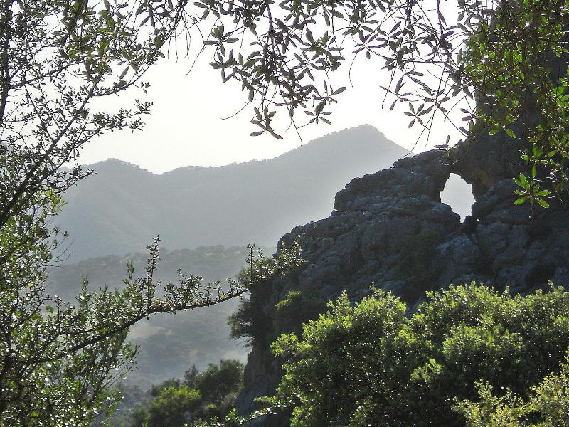 Los Chozos image