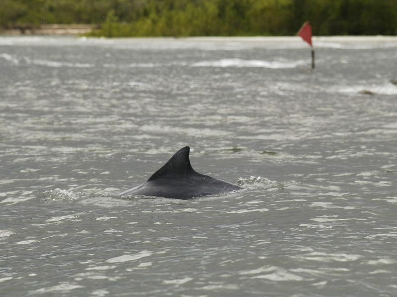 Hotel Marina Clube De Pesca Cananeia