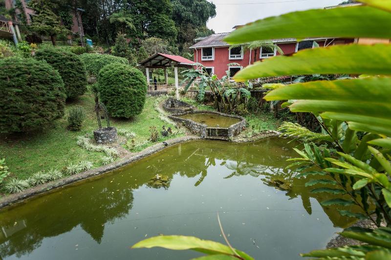 Park Hotel Resort