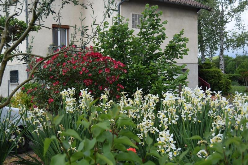 Le Nid De L Ecureuil image