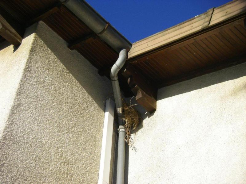 Le Nid De L Ecureuil image